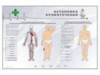Электрифицированный стенд "Остановка кровотечения" - fgospostavki.ru - Мегион