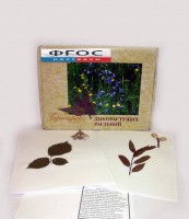 Гербарий "Дикорастущие растения" (28 видов) - fgospostavki.ru - Мегион