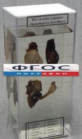 Влажный препарат "Внутреннее строение брюхоногого моллюска" - fgospostavki.ru - Мегион