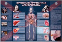 Электрифицированный стенд "Вредные привычки: алкоголизм" - fgospostavki.ru - Мегион