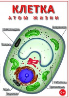 DVD "Клетка - "атом жизни" - fgospostavki.ru - Мегион