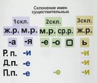 Набор магнитных карточек "Склонение имен существительных" - fgospostavki.ru - Мегион