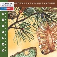 Ботаника. Микрофотографии. (Цифровая база изображений) - fgospostavki.ru - Мегион