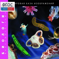 Биология. Микрофотографии. (Цифровая база изображений) - fgospostavki.ru - Мегион