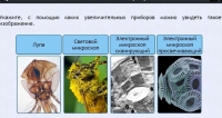 Интерактивные курсы. Биология 5 класс. Расширенный - fgospostavki.ru - Мегион