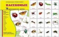 Демонстрационные карточки "Насекомые" - fgospostavki.ru - Мегион