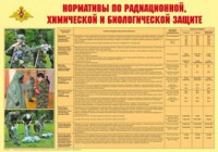 Плакат "Нормативы по радиационной, химической и биологической защите" - fgospostavki.ru - Мегион