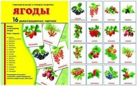 Демонстрационные карточки "Ягоды" - fgospostavki.ru - Мегион