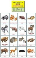 Раздаточные карточки "Дикие животные (1)" - fgospostavki.ru - Мегион