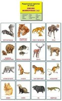 Раздаточные карточки "Дикие животные (2)" - fgospostavki.ru - Мегион