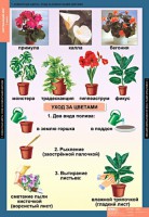 Комплект таблиц. Окружающий мир 1 класс. - fgospostavki.ru - Мегион