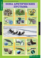 Комплект таблиц. Окружающий мир 4 класс. - fgospostavki.ru - Мегион