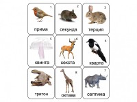 Набор магнитных карточек по музыке "Животные" (9 штук) - fgospostavki.ru - Мегион