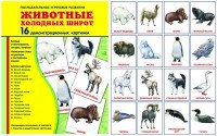 Демонстрационные карточки "Животные холодных широт" - fgospostavki.ru - Мегион