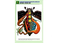 Рельефная таблица "Внутреннее строение жука" (формат А1, матовое ламинирование) - fgospostavki.ru - Мегион