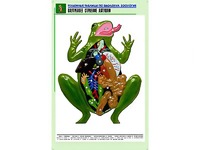 Рельефная таблица "Внутреннее строение лягушки" (формат А1, матовое ламинирование) - fgospostavki.ru - Мегион