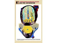 Рельефная таблица "Долька печени. Макро-микростроение" (формат А1, матовое ламинирование) - fgospostavki.ru - Мегион