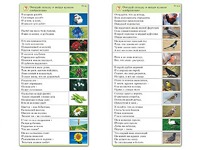Комплект карточек (10) "Обучающий калейдоскоп. Природа" - fgospostavki.ru - Мегион