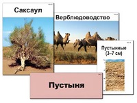 Модель-аппликация "Природные зоны России" (ламинированная) - fgospostavki.ru - Мегион