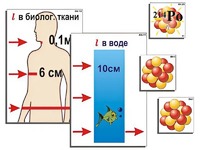 Модель-аппликация "Явление радиоактивности" (ламинированная) - fgospostavki.ru - Мегион