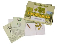 Гербарий "Сельскохозяйственные растения" (30 видов, с иллюстрациями) - fgospostavki.ru - Мегион