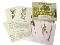 Гербарий "Систематика растений. Семейство Бобовые. Злаки" (раздаточный) - fgospostavki.ru - Мегион