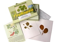 Гербарий "Систематика растений. Семейство Розоцветные" (раздаточный) - fgospostavki.ru - Мегион