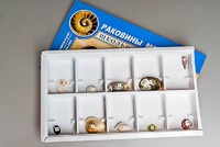 Коллекция "Раковины моллюсков" - fgospostavki.ru - Мегион