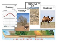 Модель-аппликация "Природные зоны" - fgospostavki.ru - Мегион