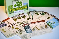 Гербарий к курсу основ общей биологии - fgospostavki.ru - Мегион