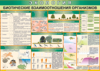 Таблица "Биотические взаимоотношения организмов" (100х140 сантиметров, винил) - fgospostavki.ru - Мегион
