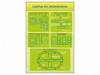 Стенды "Схемы по экономике" - fgospostavki.ru - Мегион