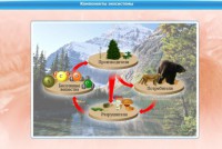 Интерактивные курсы. Биология 7 класс. Базовый. - fgospostavki.ru - Мегион