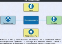 Интерактивные курсы. Биология 5 класс. Базовый - fgospostavki.ru - Мегион