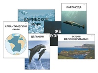Модель-аппликация "Океаны. Знакомство" (ламинированная) - fgospostavki.ru - Мегион