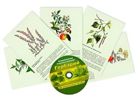 Интерактивный наглядный комплекс "Гербарий "Для начальной школы" - fgospostavki.ru - Мегион