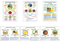 Плакаты ПРОФТЕХ "Плоды" (6 пл, винил, 70х100) - fgospostavki.ru - Мегион