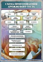 Стенд "Схема приготовления дрожжевого теста" - fgospostavki.ru - Мегион