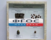 Коллекция энтомологическая "Примеры защитных приспособлений у насекомых" - fgospostavki.ru - Мегион