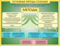 Стенд "Методы селекции и биотехнологии" - fgospostavki.ru - Мегион