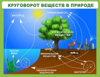 Стенд "Круговорот веществ" - fgospostavki.ru - Мегион