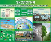 Стенд "Экология. Антропогенное воздействие на биосферу" - fgospostavki.ru - Мегион