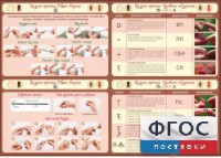 Стенд "Вязание крючком" - fgospostavki.ru - Мегион