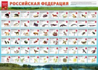 Стенд "Красная книга РФ" - fgospostavki.ru - Мегион