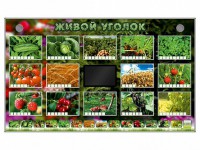 Комплект оборудования "Живой уголок" (растения) - fgospostavki.ru - Мегион