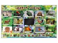 Комплект оборудования "Живой уголок" (животные) - fgospostavki.ru - Мегион