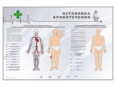 Электрифицированный стенд "Остановка кровотечения" - fgospostavki.ru - Мегион