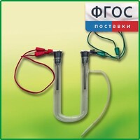 Прибор для электролиза растворов солей демонстрационный - fgospostavki.ru - Мегион