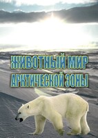 DVD "Животный мир Арктической зоны" - fgospostavki.ru - Мегион