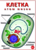 DVD "Клетка - "атом жизни" - fgospostavki.ru - Мегион